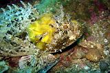 2009-09-07 10-35-14Li